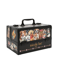 PROFESSIONAL COSMETIC CASE