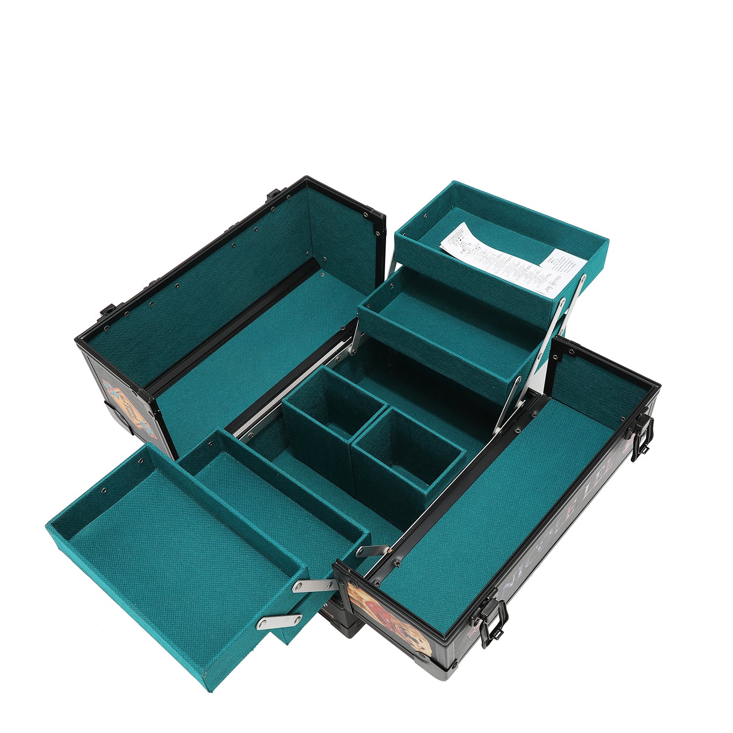 PROFESSIONAL COSMETIC CASE