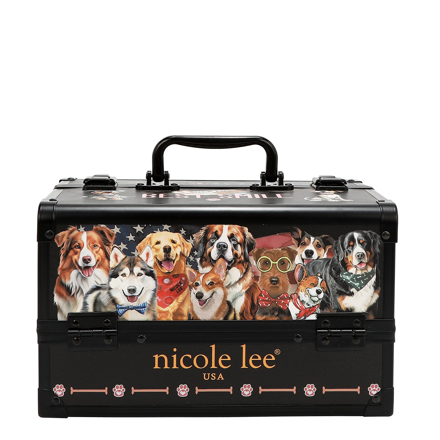 PROFESSIONAL COSMETIC CASE