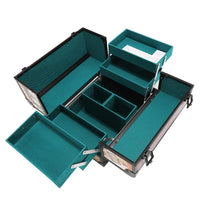 PROFESSIONAL COSMETIC CASE